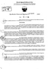 Vista preliminar de documento RDR 10267-2024