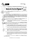 Vista preliminar de documento RDR 10083-2024