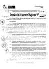 Vista preliminar de documento RDR 10084-2024