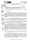 Vista preliminar de documento RDR 10088-2024