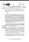 Vista preliminar de documento RDR 10090-2024