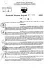Vista preliminar de documento RDR 10293-2024