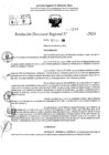 Vista preliminar de documento RDR 10294-2024