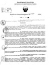 Vista preliminar de documento RDR 10295-2024