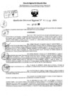 Vista preliminar de documento RDR 10110-2024