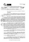 Vista preliminar de documento RDR 10111-2024