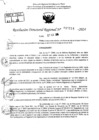 Vista preliminar de documento RDR 10114-2024