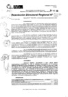 Vista preliminar de documento RDR 10119-2024