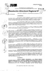 Vista preliminar de documento RDR 10120-2024