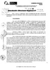 Vista preliminar de documento RDR 10124-2024