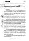 Vista preliminar de documento RDR 10132-2024