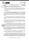 Vista preliminar de documento RDR 10135-2024