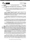 Vista preliminar de documento RDR 10136-2024