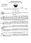 Vista preliminar de documento RDR 10317-2024