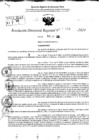 Vista preliminar de documento RDR 10319-2024