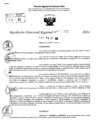 Vista preliminar de documento RDR 10322-2024