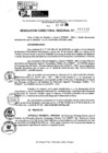 Vista preliminar de documento RDR 10147-2024