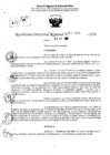 Vista preliminar de documento RDR 10344-2024