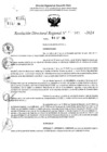 Vista preliminar de documento RDR 10345-2024