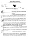 Vista preliminar de documento RDR 10347-2024