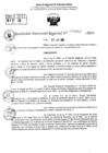 Vista preliminar de documento RDR 10162-2024