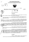 Vista preliminar de documento RDR 10348-2024