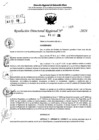 Vista preliminar de documento RDR 10349-2024