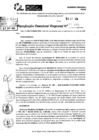 Vista preliminar de documento RDR 10375-2024