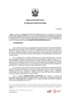 Vista preliminar de documento rd 869-2024-produce-dgaami