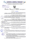 Vista preliminar de documento Resolución Directoral. N° 2311 - 2024 