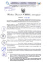 Vista preliminar de documento Resolución Directoral. N° 2312 - 2024 
