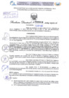 Vista preliminar de documento Resolución Directoral. N° 2316 - 2024 