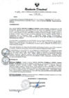 Vista preliminar de documento RESOLUCION DIRECTORAL N° 291-2024