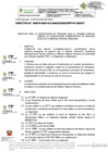 Vista preliminar de documento DIRECTIVA-000016-2024-GRPPAT-SGDITI