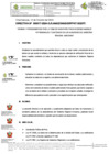 Vista preliminar de documento DIRECTIVA-000017-2024-GRPPAT-SGDITI