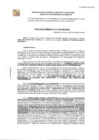 Vista preliminar de documento GDE-411-2024