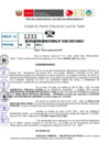 Vista preliminar de documento R.D 1233-2021