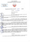 Vista preliminar de documento RD N 01031