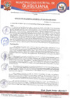 Vista preliminar de documento RGM-407-2024