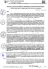 Vista preliminar de documento RGM-819-2024