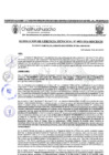 Vista preliminar de documento RGM-822-2024