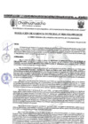 Vista preliminar de documento RGM-828-2024