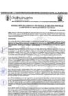 Vista preliminar de documento RGM-833-2024