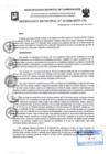 Vista preliminar de documento Ordenanza Municipal N.° 0010-2024 -A