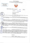Vista preliminar de documento RD N 01045