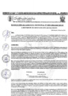 Vista preliminar de documento RGM-838-2024