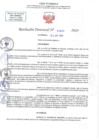 Vista preliminar de documento RD N 01046