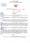 Vista preliminar de documento RD N 01047