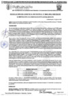 Vista preliminar de documento RGM-863-2024