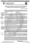 Vista preliminar de documento RGM-875-2024